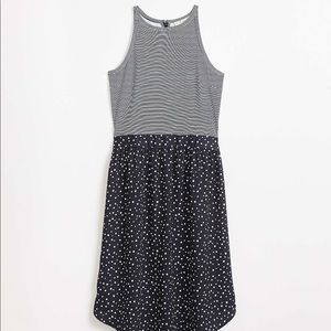 LOFT Plus Dot Striped Mixed Media Flare Dress